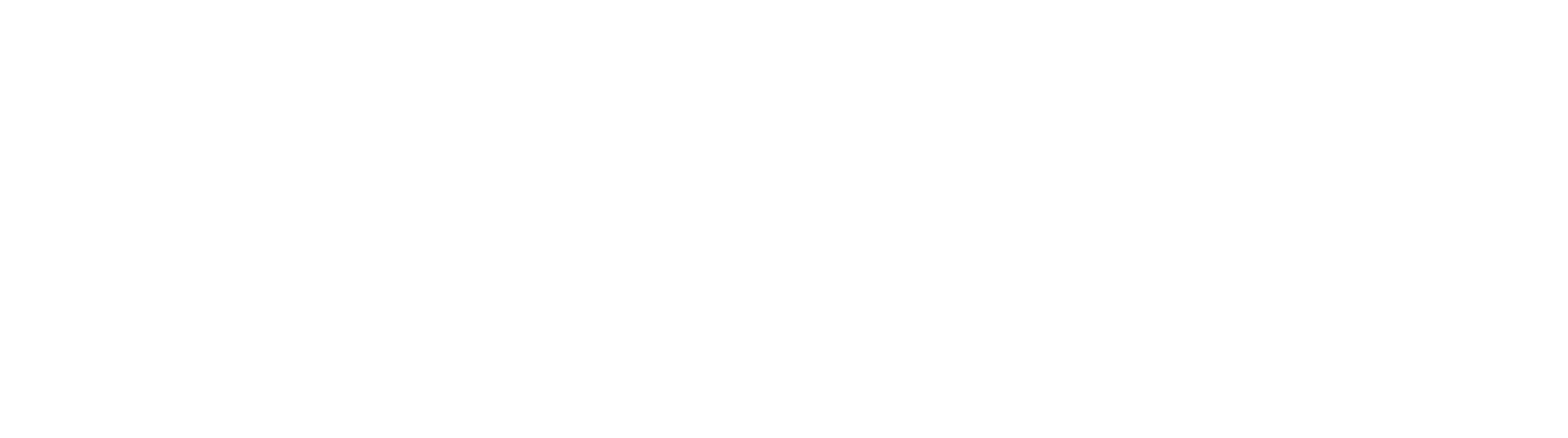 Fergo Connect Logo